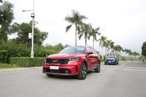 New Kia Sorento 2.2D Sig AWD 7s (N/L) Nâu